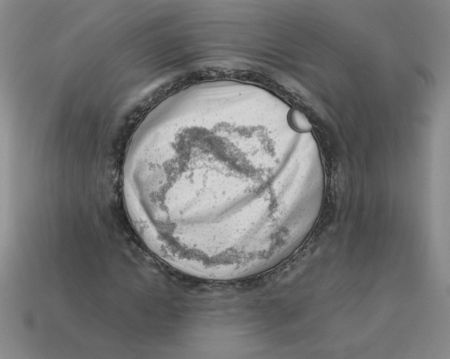 X0000113350822200910131237