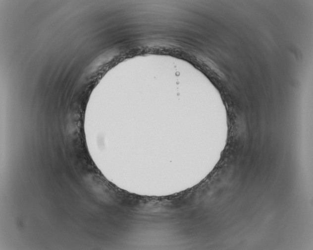 X0000113350824200910131238