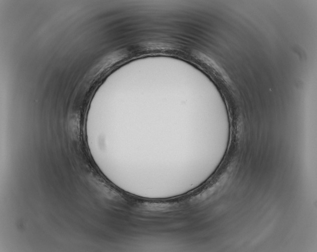 X0000113350825200910131238