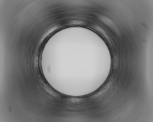 X0000113350827200910131238