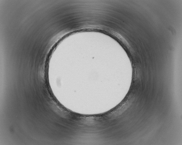 X0000113350828200910131238