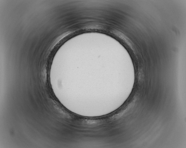 X0000113350829200910131238