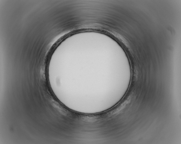 X0000113350830200910131238