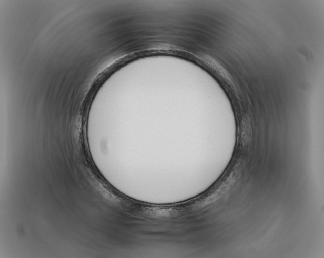 X0000113350831200910131238