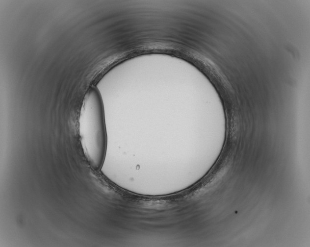 X0000113350833200910131238