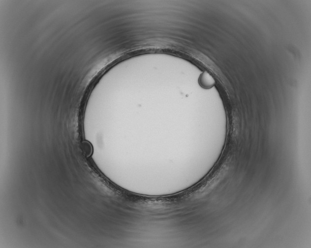 X0000113350834200910131238