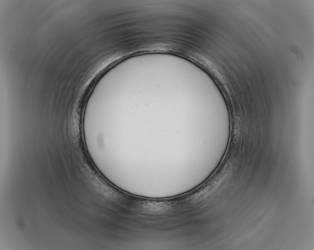 X0000113350835200910131238