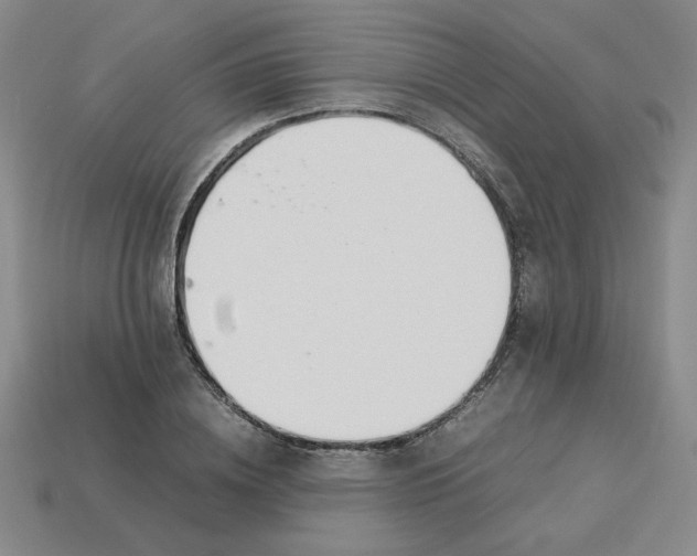 X0000113350836200910131238