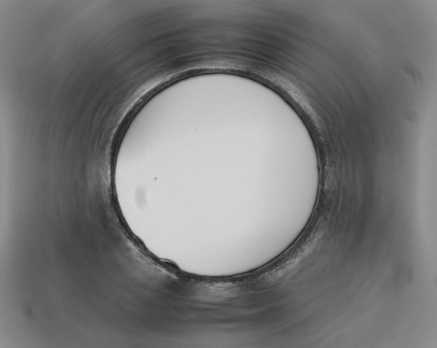 X0000113350837200910131238