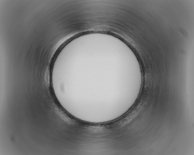 X0000113350838200910131238