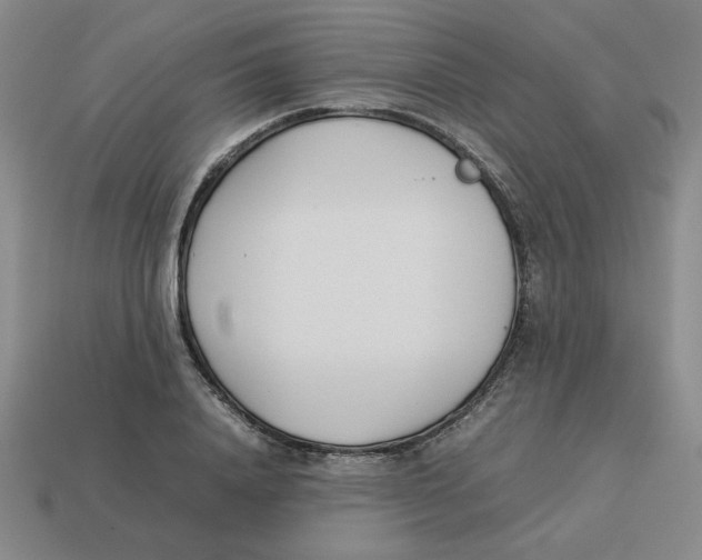 X0000113350840200910131238