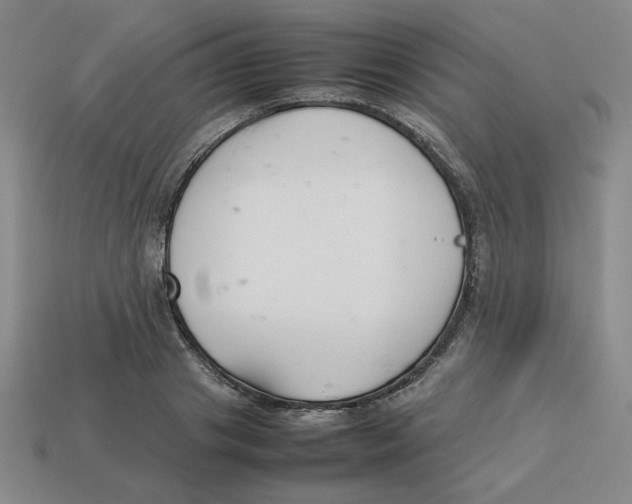 X0000113350841200910131238