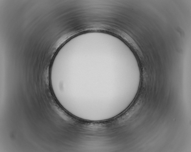 X0000113350842200910131238