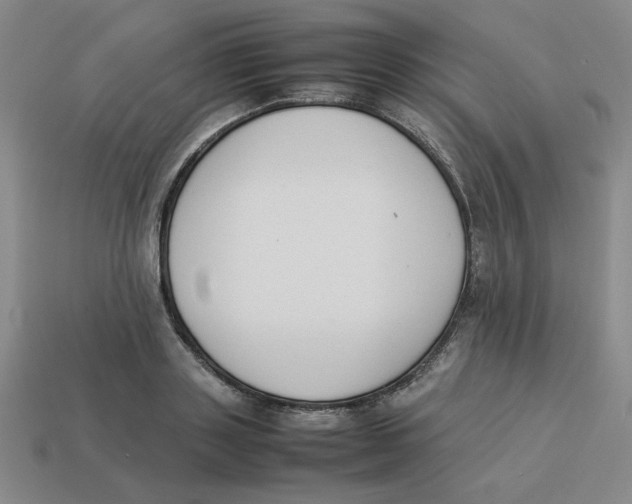 X0000113350843200910131238