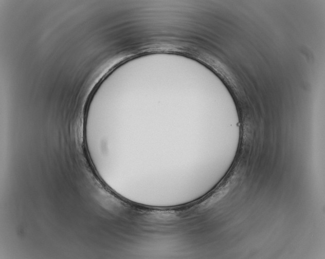 X0000113350844200910131238