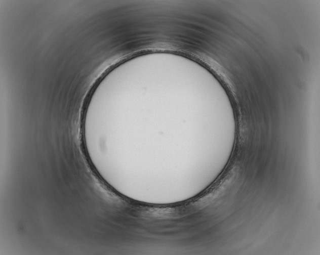 X0000113350845200910131238