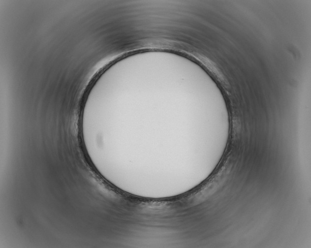 X0000113350846200910131238