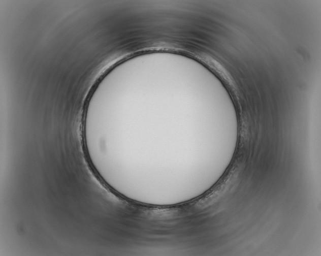 X0000113350847200910131238