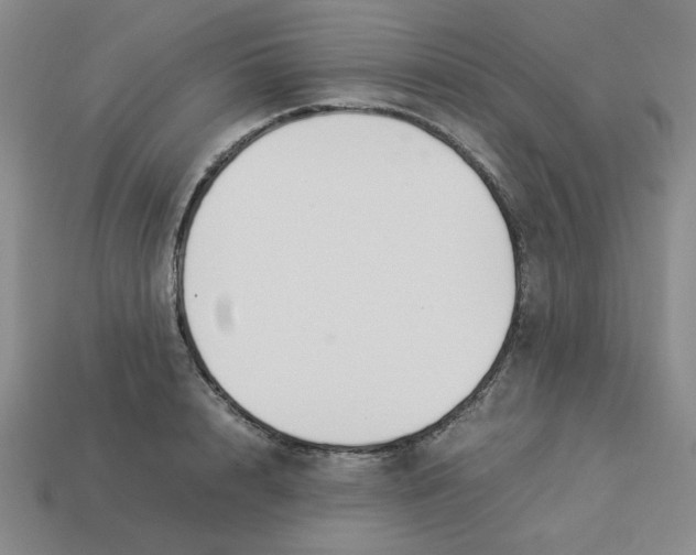 X0000113350848200910131238