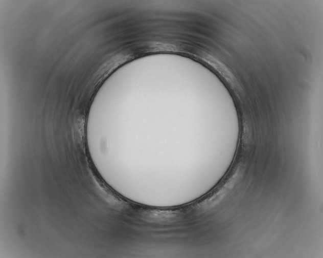 X0000113350849200910131238