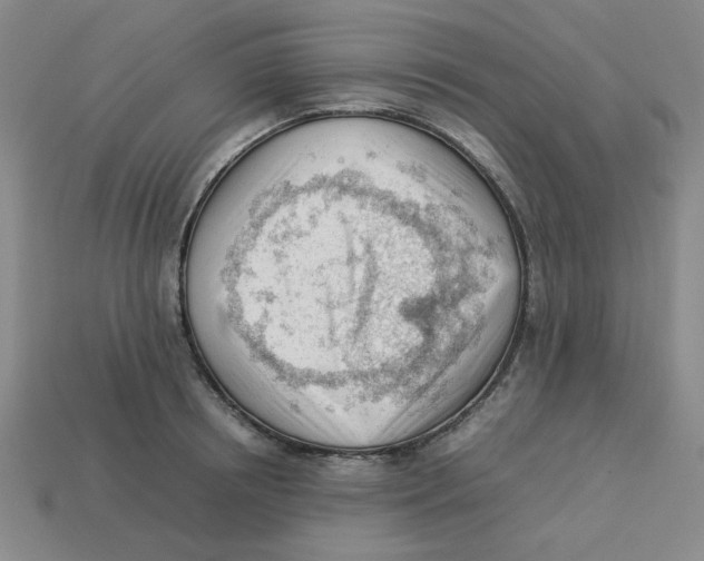 X0000113350850200910131238