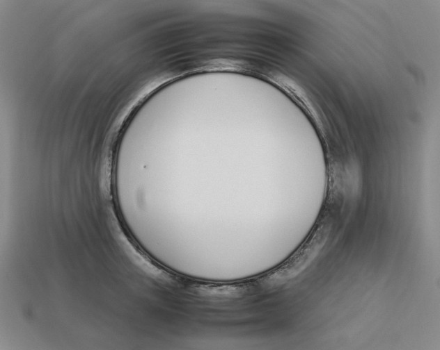 X0000113350851200910131238