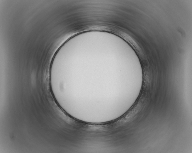 X0000113350852200910131238