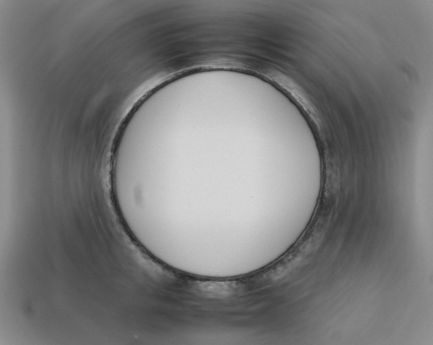 X0000113350853200910131238