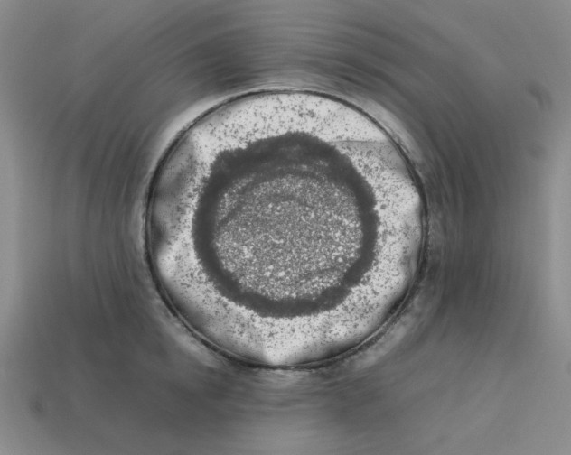 X0000113350854200910131238