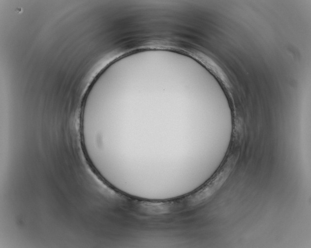 X0000113350855200910131238