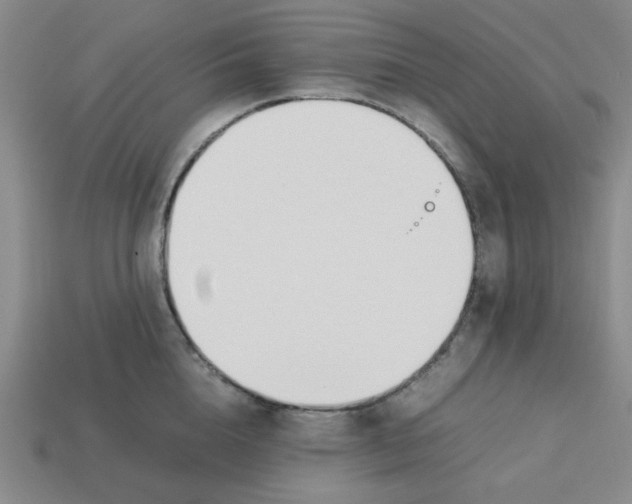 X0000113350856200910131238