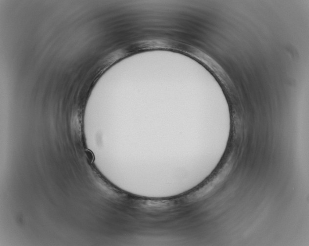 X0000113350857200910131238