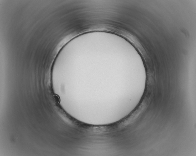 X0000113350858200910131238