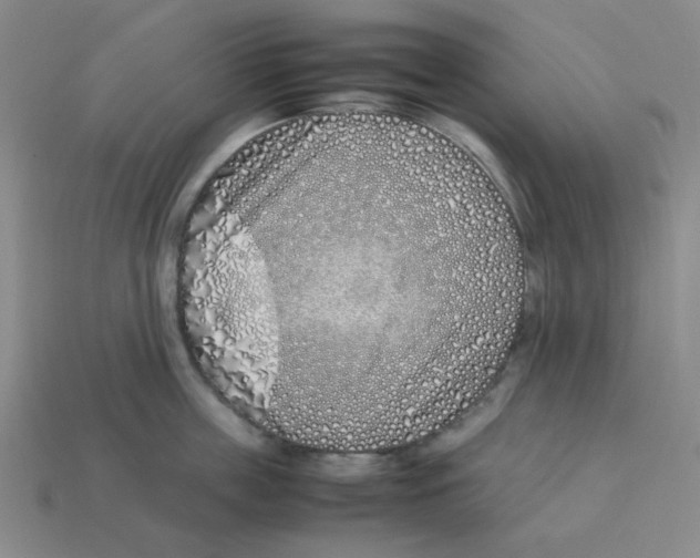 X0000113350859200910131238