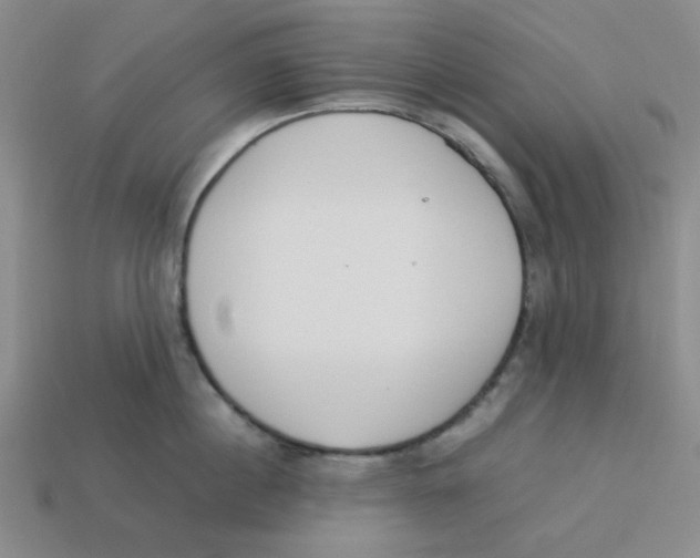 X0000113350860200910131238