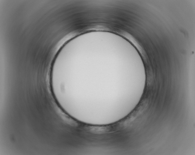 X0000113350861200910131238