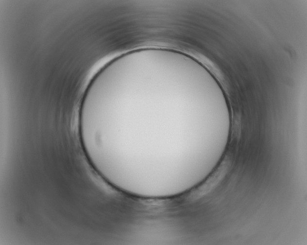 X0000113350862200910131238