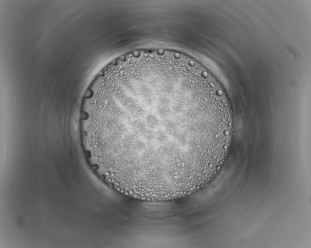 X0000113350863200910131238