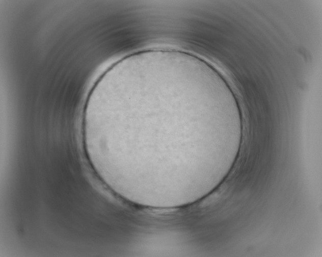 X0000113350864200910131238