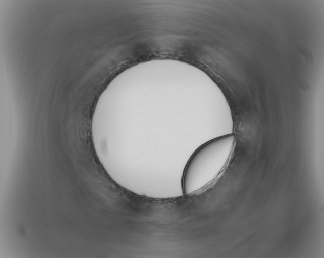 X0000113350865200910131237