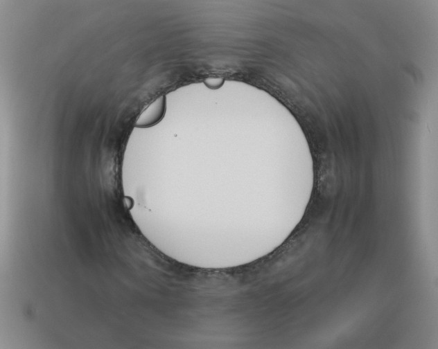 X0000113350866200910131237