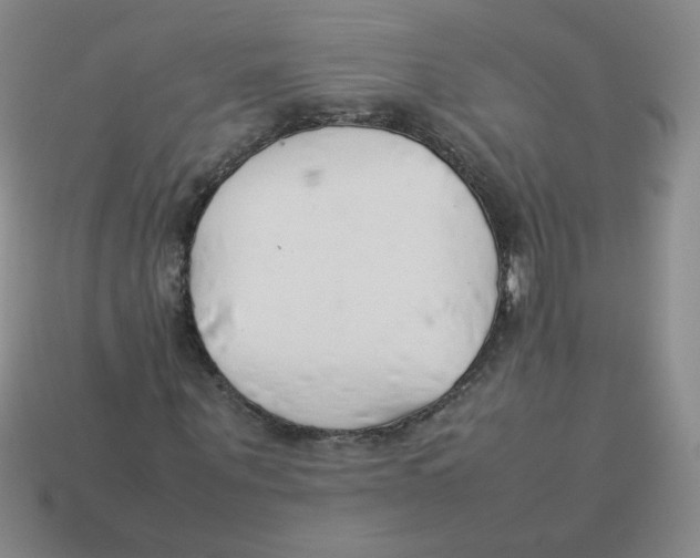 X0000113350867200910131237