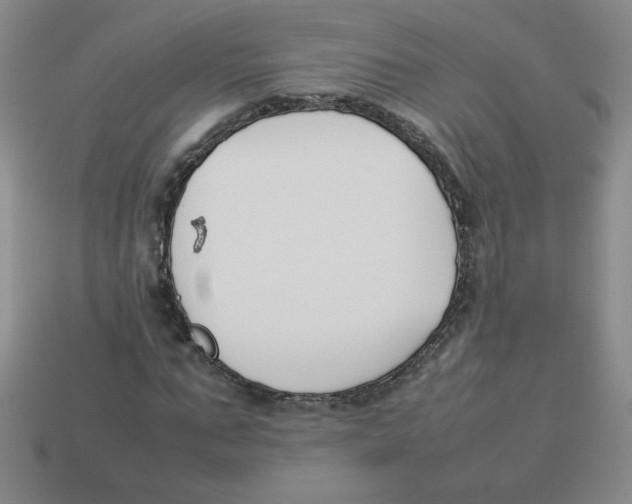 X0000113350871200910131237