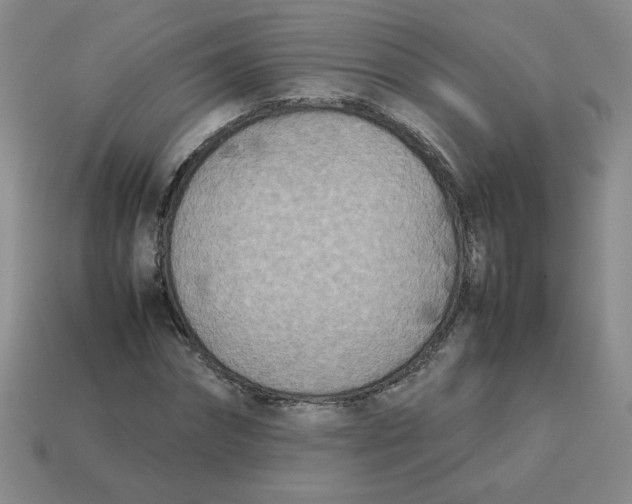 X0000113350874200910131237