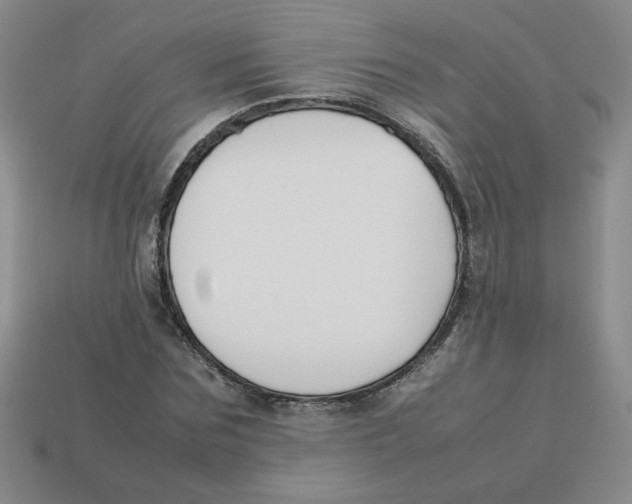 X0000113350875200910131237