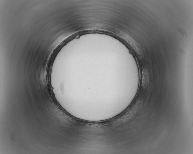 X0000113350876200910131237