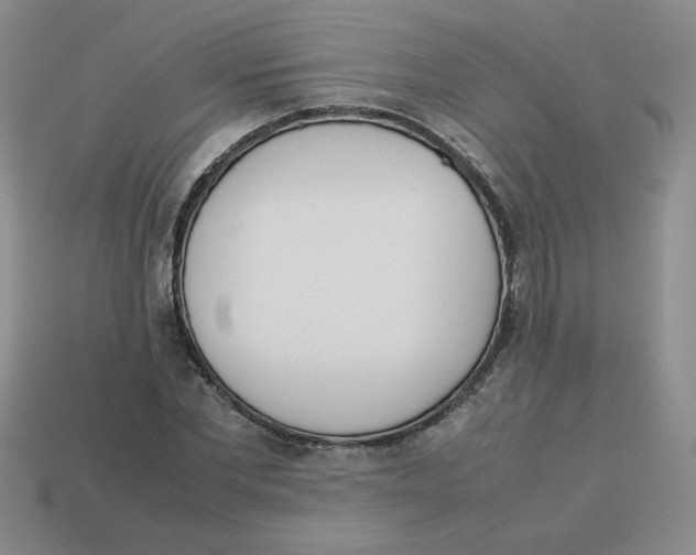 X0000113350877200910131237