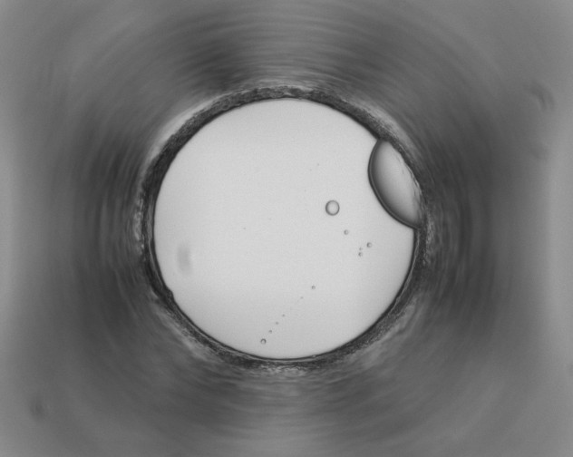 X0000113350878200910131237