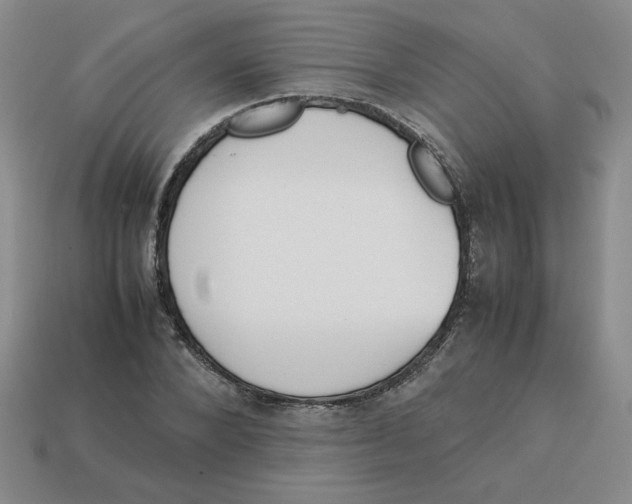 X0000113350880200910131237