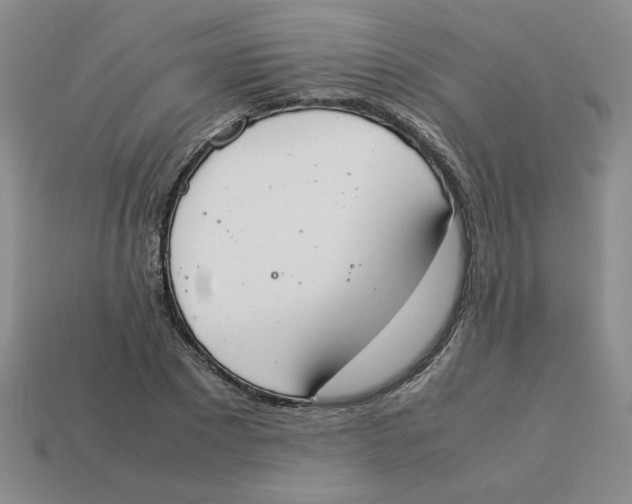 X0000113350881200910131237